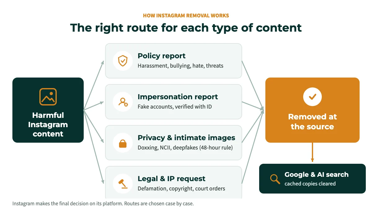 Diagram of Instagram removal routes: policy, impersonation, privacy and intimate image, and legal or copyright reports leading to removal and Google cleanup