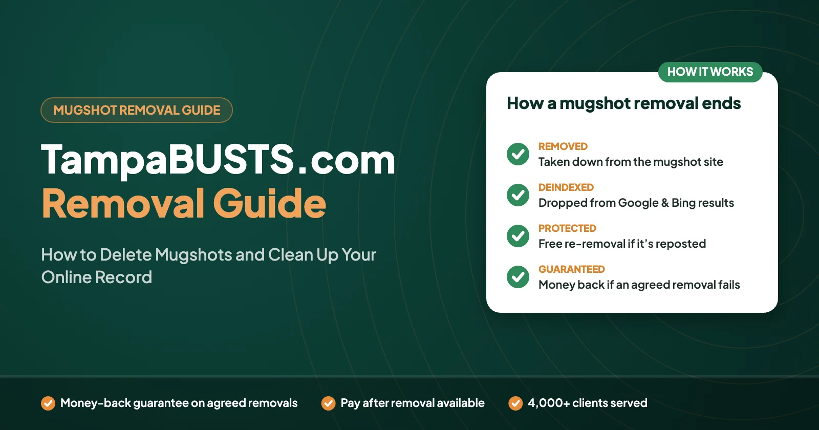 TampaBUSTS.com Removal Guide: How to Delete Mugshots and Clean Up Your Online Record – Defamation Defenders guide graphic