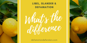 Libel, Slander and Defamation Online